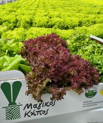 ΜΑΓΙΚΟΣ ΚΗΠΟΣ 