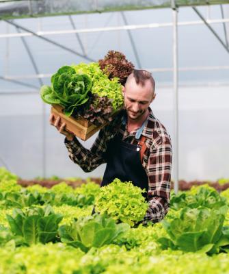 ΜΑΡΟΥΛΙΑ ΛΑΧΑΝΙΚΑ