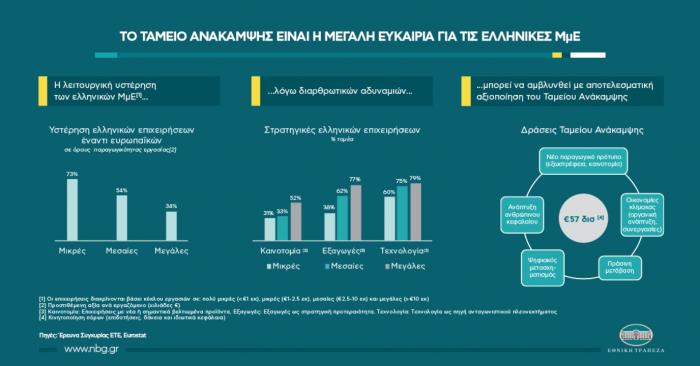 Ethniki Trapeza, Mikromesaies Epixeiriseis, ETE