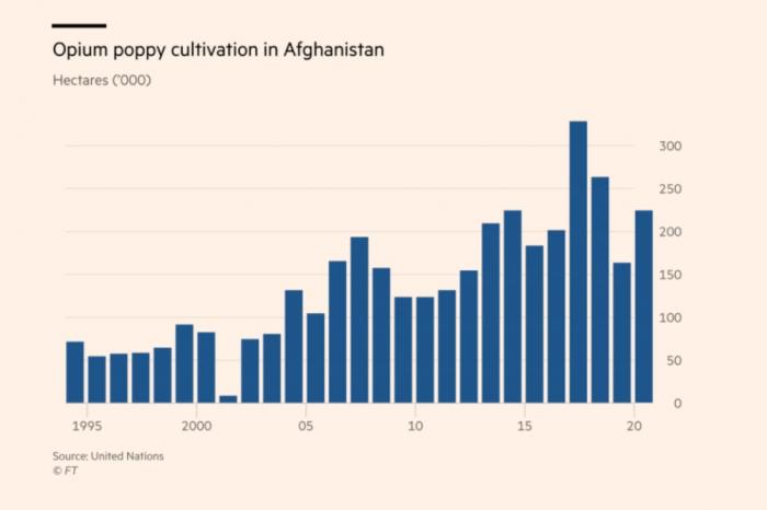 Afghanistan, Taliban