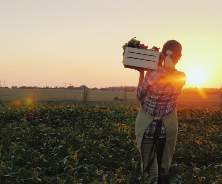 Αγρότης σε χωράφι
