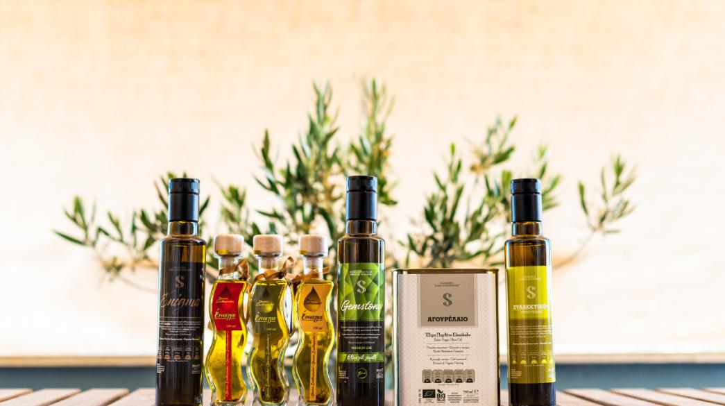 businessdaily-Elaiones-Sakellaropoulou