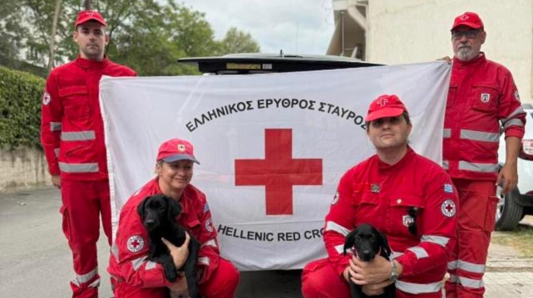 Ελληνικός Ερυθρός Σταυρός