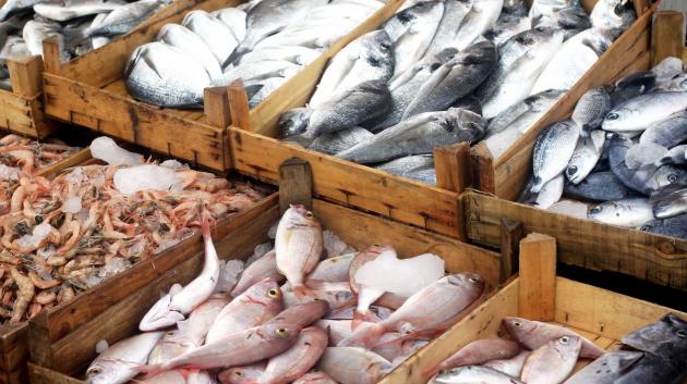 Ψάρια αγορά ψαριών