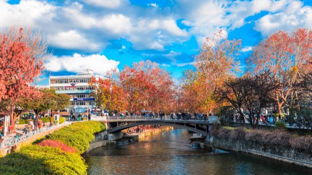 Κεντρική γέφυρα Τρίκαλα