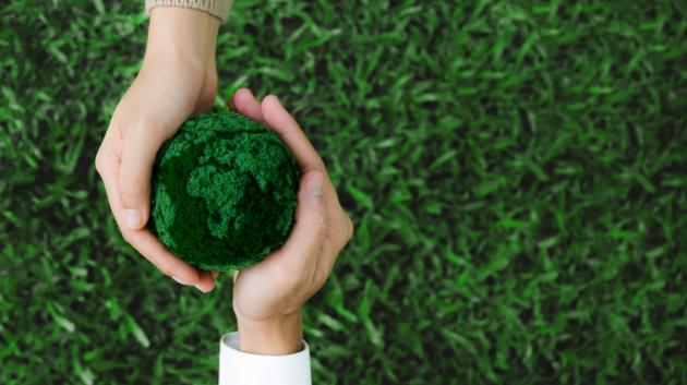 Βιωσιμότητα και περιβάλλον