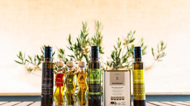 businessdaily-Elaiones-Sakellaropoulou