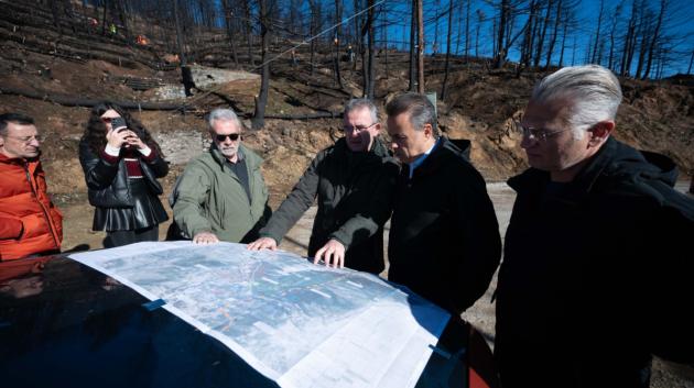 Παπασταύρου, Υπουργείο Περιβάλλοντος και Ενέργειας