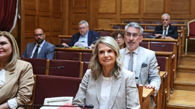 Μιλένα Αποστολάκη Βουλή