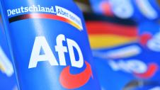 AFD, Germany, Germania