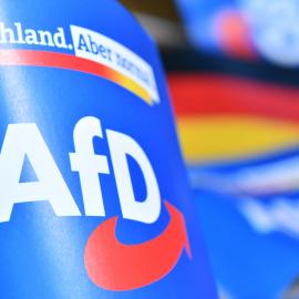 Λογότυπο AfD Γερμανία