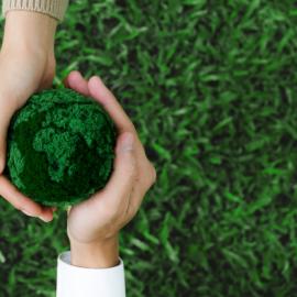 Βιωσιμότητα και περιβάλλον