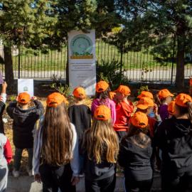 μαθητές σε εκδήλωση της ΔΕΗ