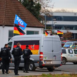Γερμανία εκλογές AFD